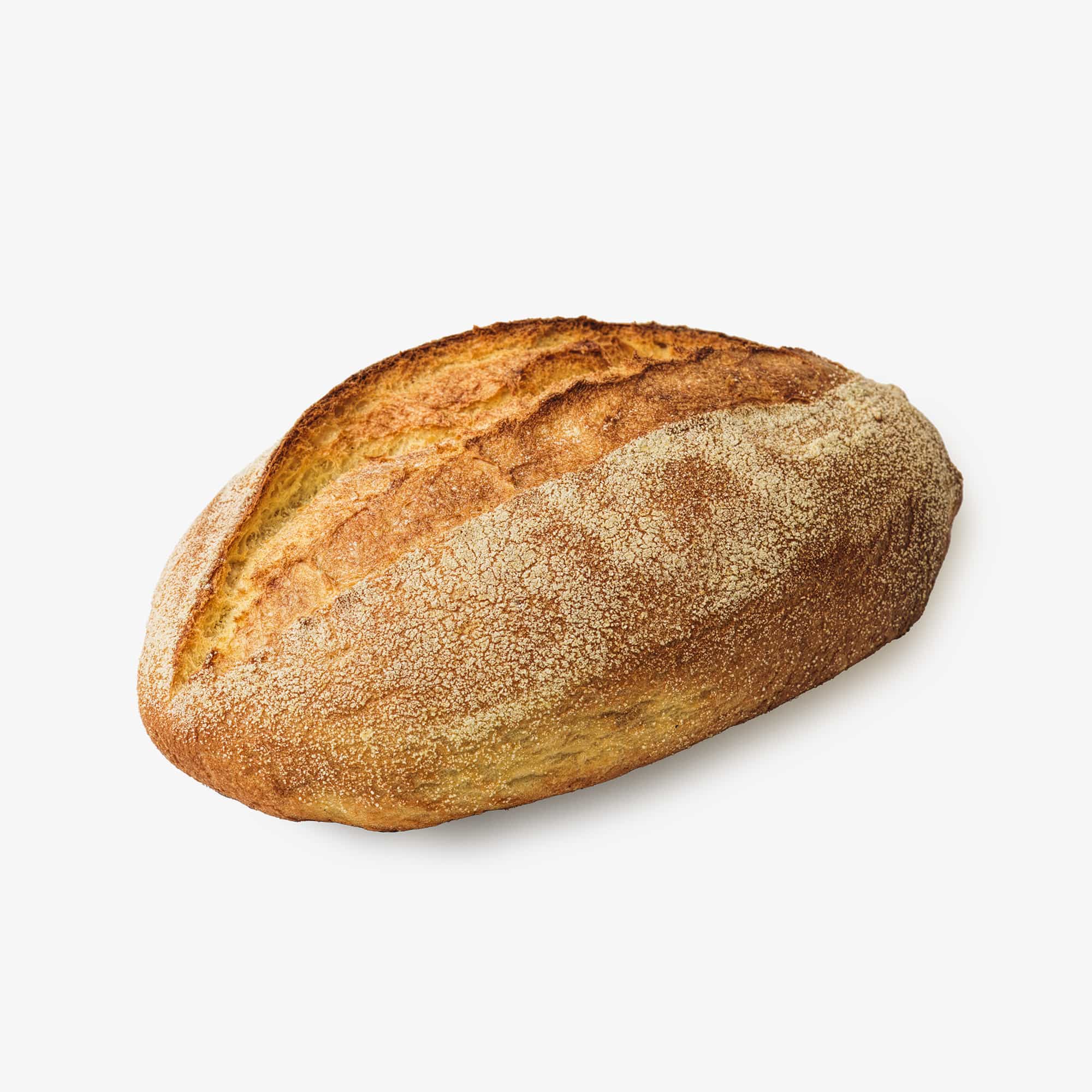 Filonebrød