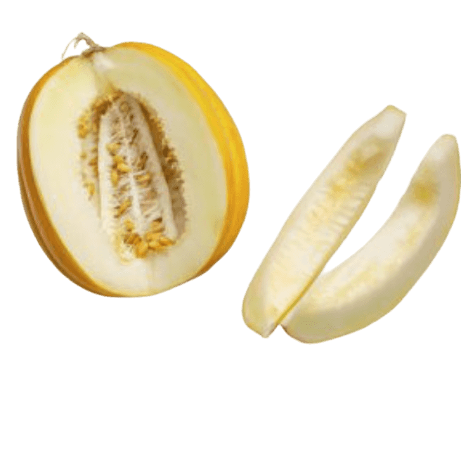 Melon