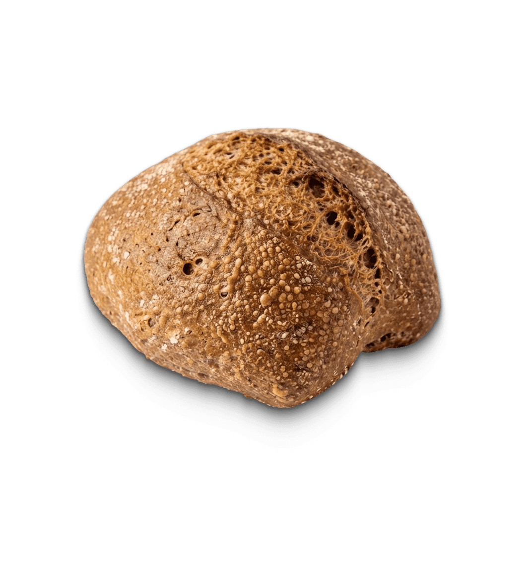 Surdejsbolle