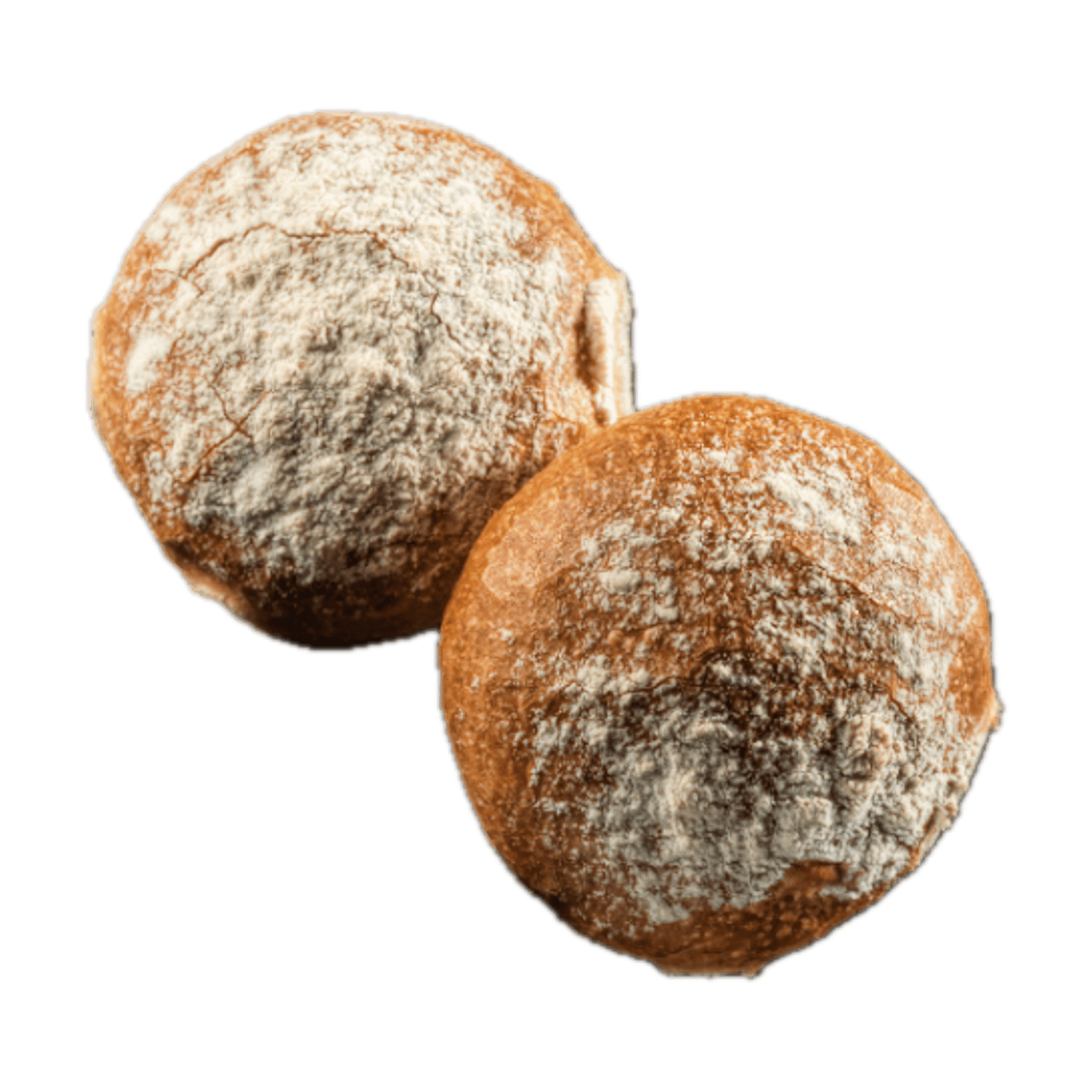 Surdejsbolle