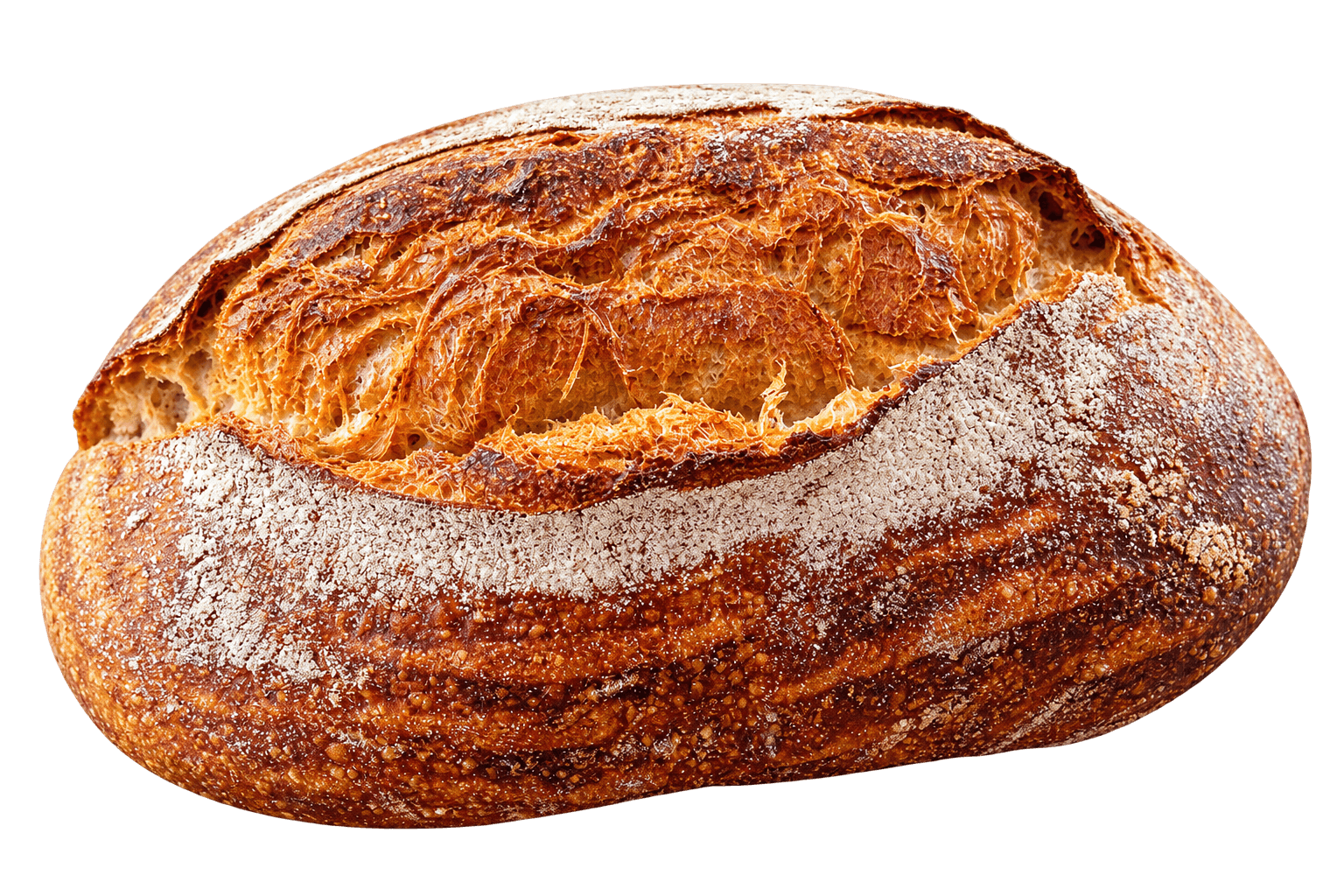 Surdejsbrød m/spelt